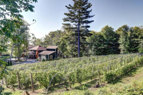 VIGNOBLE du Domaine des 3 Moulins à 20 min de Qc